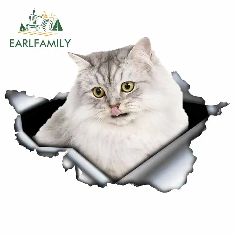 

EARLFAMILY 13 см x 8,5 см для кошки, автомобиля, сборника, наклейки, водонепроницаемая наклейка «сделай сам», виниловый материал, индивидуальный кре...