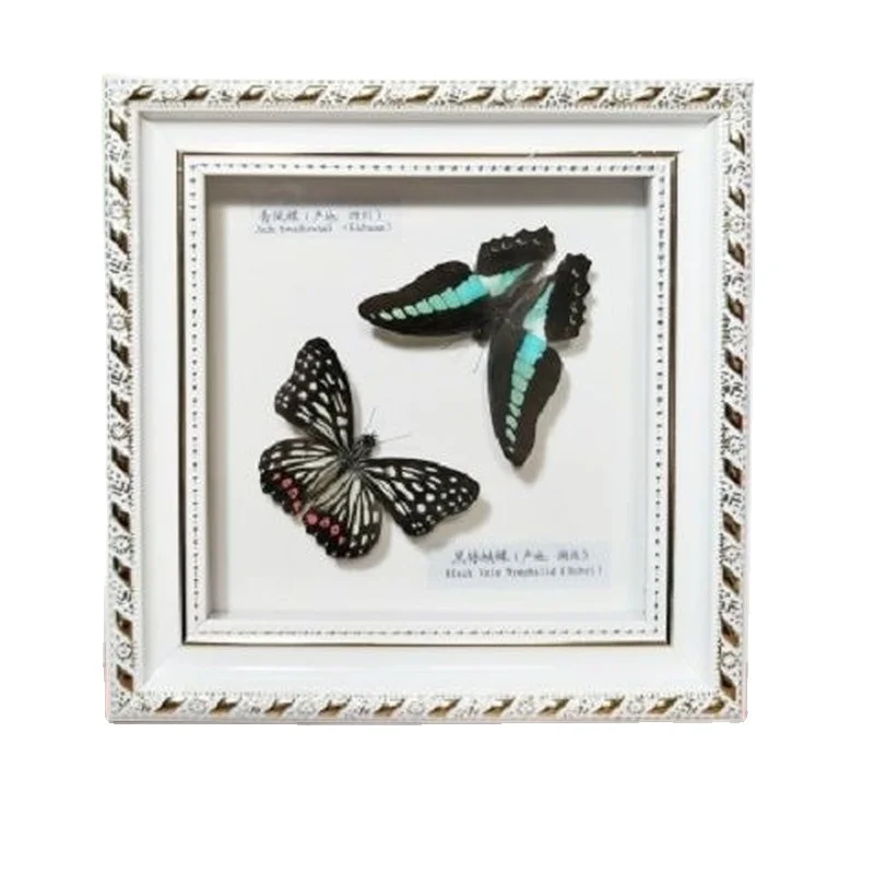 

Real Butterfly Specimen Insect Photo Frame Crafts Collection Birthday Wedding Gifts home accessories christmas decor