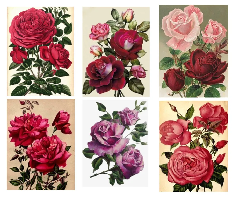 Алмазная живопись 5D сделай сам алмазная роза цветок вышивка украшение для дома |