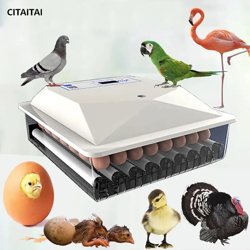 

Инкубатор для яиц, полностью автоматический инкубатор, домашний инкубатор для кур на ферме, инкубатор для цыплят инкубатор птичьих яиц 36 яи...