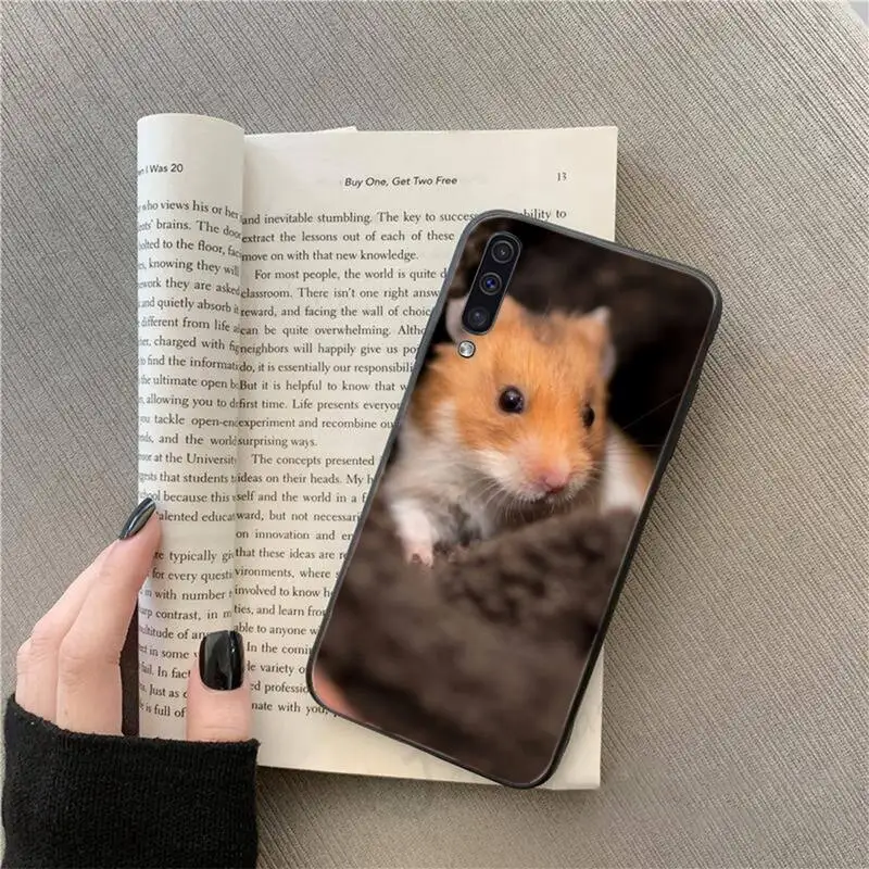 

Hamsters cute animal high quality Phone Case For Samsung galaxy S 9 10 20 A 10 21 30 31 40 50 51 71 s note 20 j 4 2018 plus