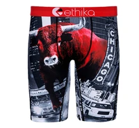 ethika the cartoon 2021 underwear cock boxer for kid underpants panties boys underware short pants ethika