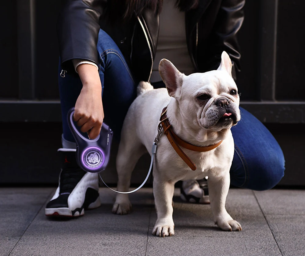 Xiaomi Petkit светодиод для домашних собак выдвижной ошейник светильник поводок жгут с замком и механизмом выпуска поводок светящиеся аксессуары для кошки, собаки