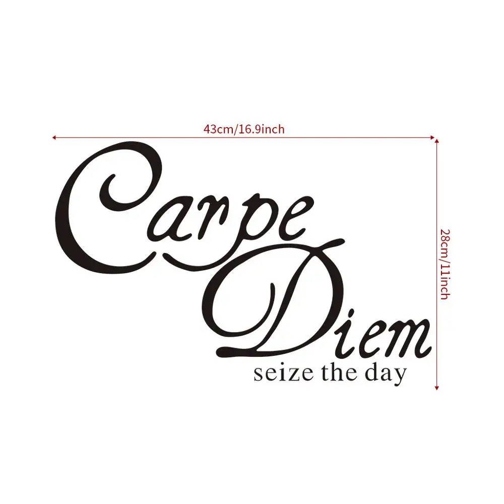 Латынь цитаты Carpe Diem захват дня Наклейка на стену DIY наклейка художественная