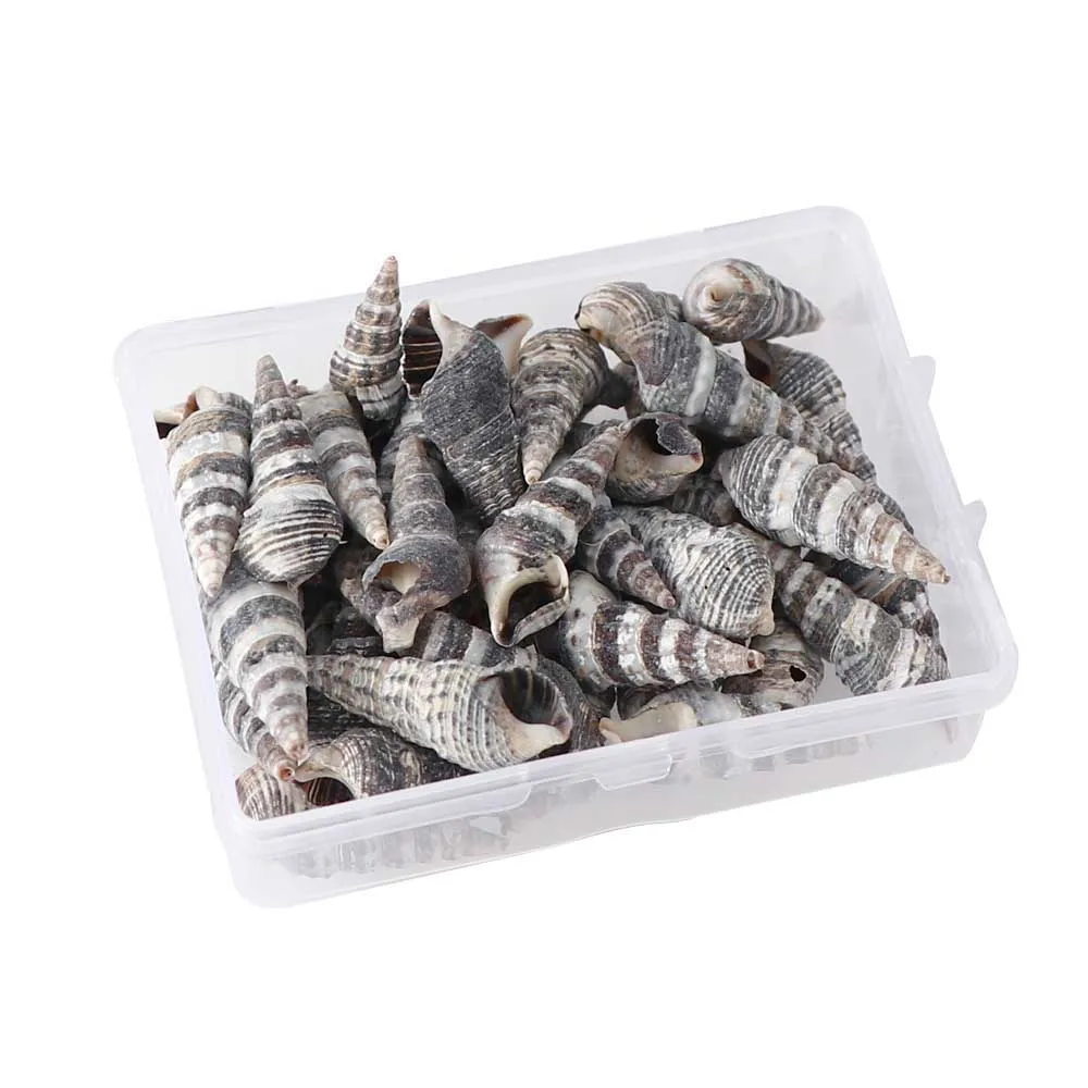 50g 50 г/103 г аквариумный Пляжный Пейзаж природные ракушки украшения DIY смешанные навальные морские раковины ювелирные изделия ремесла Декор стены ногтей оболочки - Цвет: 50g