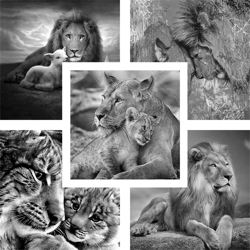 Алмазная живопись сделай сам с черными и белыми животными любовь алмазная