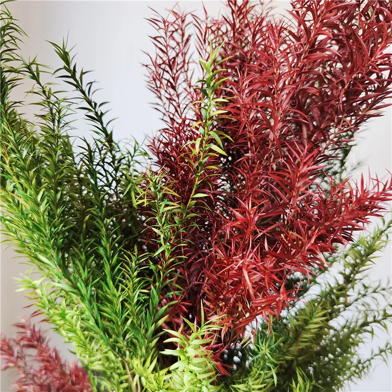 

Natural Dried Flowers Real preserved Melaleuca,Decorative Eternal Grass,Forever Fresh Dry Plants Wedding Home Room Decoration