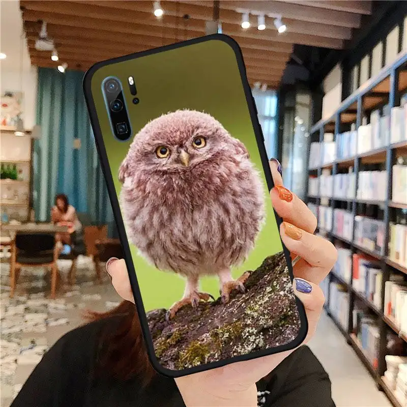 

Cartoon owl funny animal Phone Cases For Huawei honor Mate P 9 10 20 30 40 Pro 10i 7 8 a x Lite nova 5t Soft silicone funda