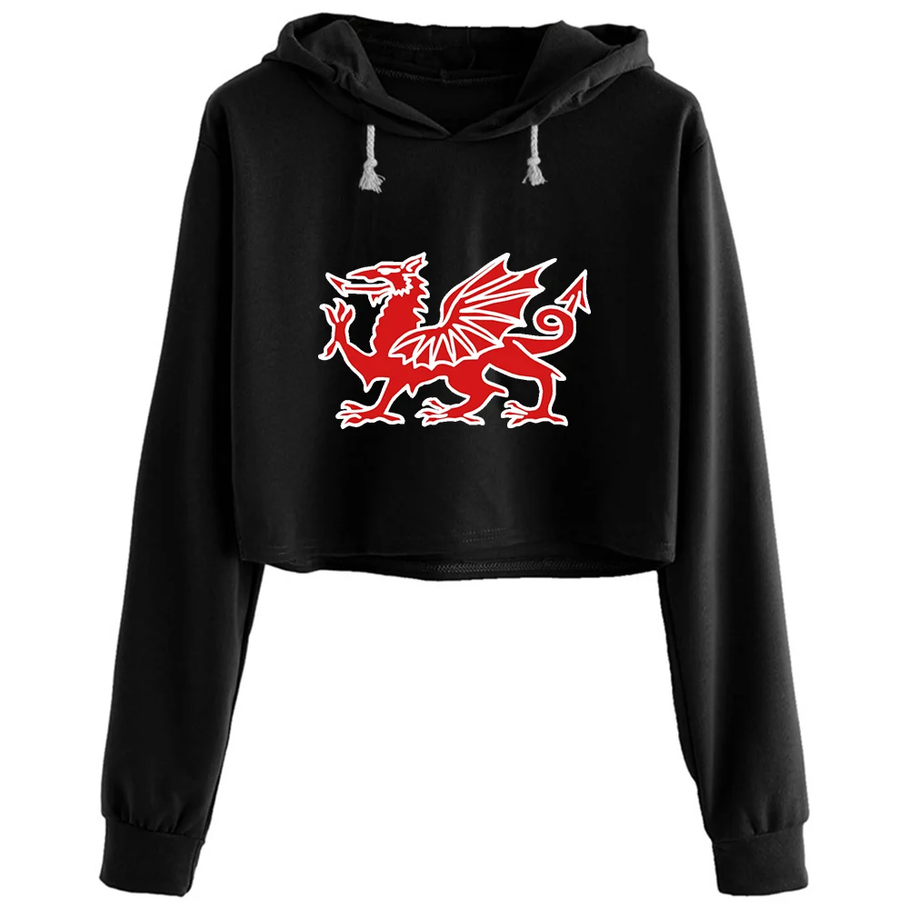 

Welsh Dragon Crop Hoodies Women Y2k Kawaii Goth Grunge Pullover For Girls