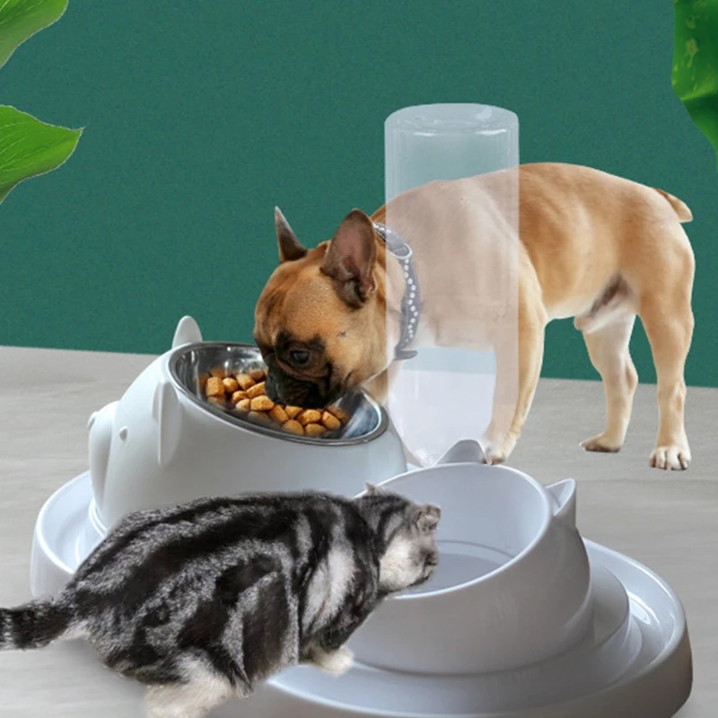 

Double Dog Pet Bowls Pets Water And Food Bowl Set 15°Tilted With Automatic Waterer Bottle For Small Or Medium Size Dogs