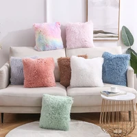 plush pillow 2021 new product solid color sofa cushion pillowcase sea velvet office home cushion cover luxury pillow case