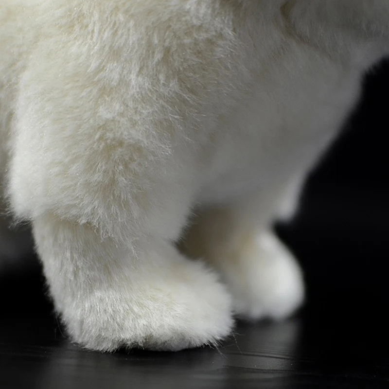 

19cm High Persian Cat Plush Toy Soft Real Life ExoticShorthair Cats Kitten Stuffed Animal Toys Gifts For Kids