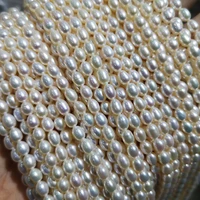 new good guality rice shape natural fresh water pearl beads for jewelry making diy bracelet necklace earrings 2 3 4 5 6 7 mm