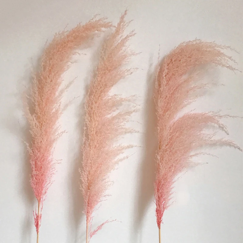 1 шт. розовый тростник труба Сушеный Цветок шипы сушеные цветы Роскошный домашний