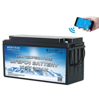 Low Temperature Heating Lithium Ion Battery 12V 200Ah Lifepo4 Battery with Bluetooth