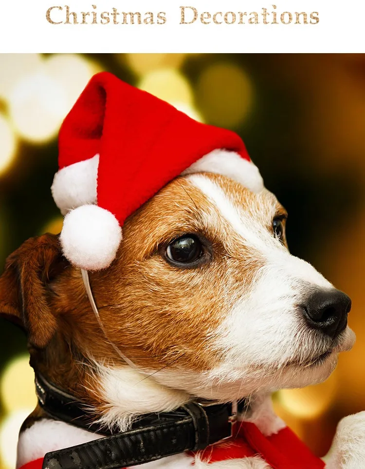 Pet accessories Santa hat cat dog puppy Christmas decoration New Year party supplies pet clothing