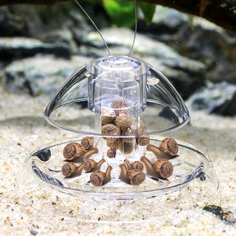 Plastic Snail Trap Catcher Leech Planaria Pest Catch Box Aquarium Environment Clean Aquarium Accessories 