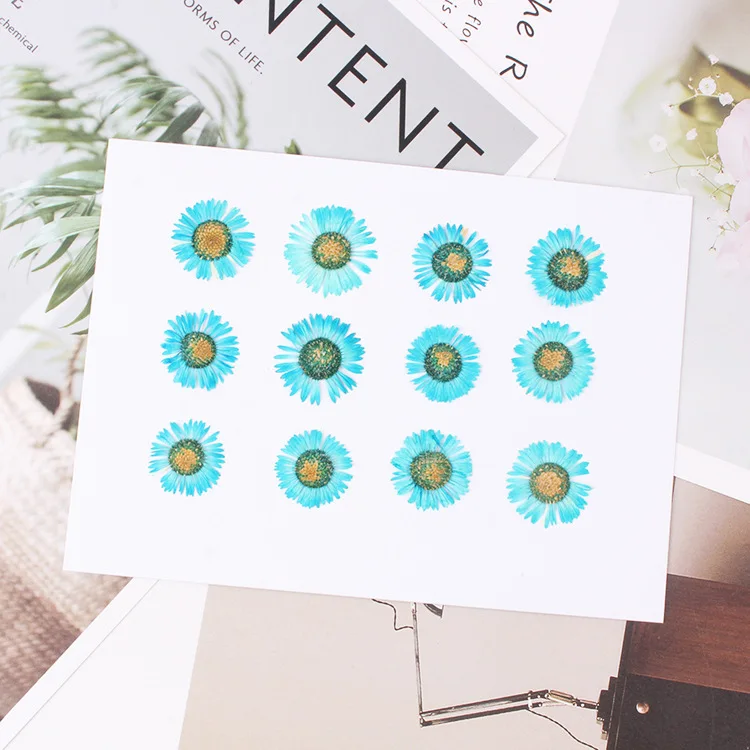

120pcs Pressed Dried Conyza canadensis Filler Flower For Epoxy Resin Jewelry Making Postcard Frame Phone Case Craft DIY