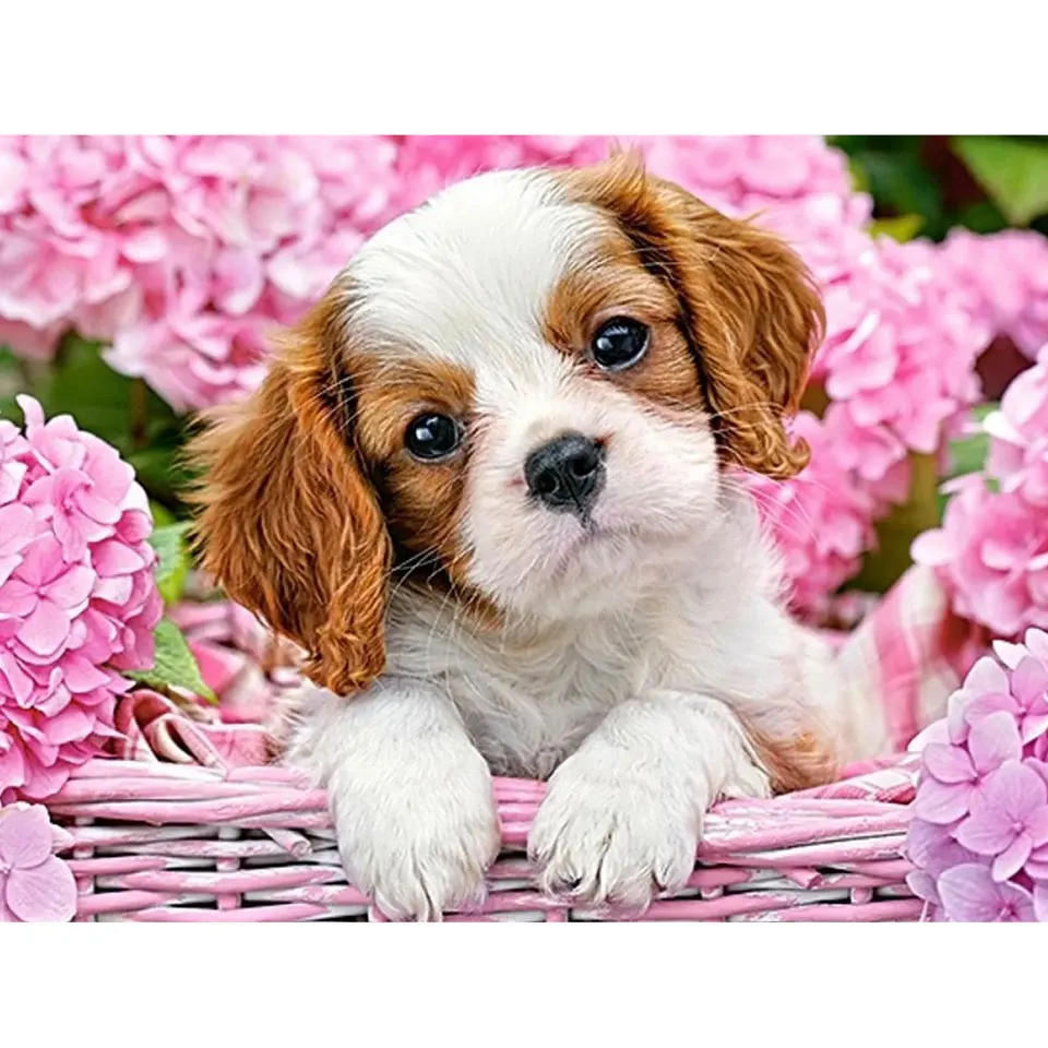 

5D DIY Алмазная картина собака и цветок вышивка крестиком полная Алмазная вышивка мозаика Needlwork Стразы домашний декор подарки ручной работы