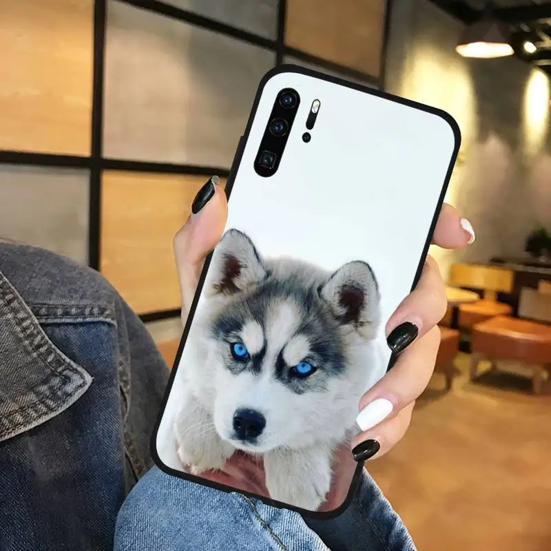 

Cute animal husky lovely dog Phone Case For Huawei Mate 9 10 20 Pro lite 20x nova 3e P10 plus P20 Pro Honor10 lite
