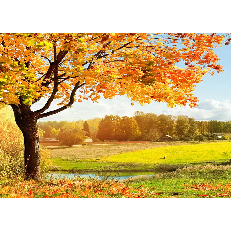 

SHENGYONGBAO Vinyl Custom Photography Backdrops Scenery Theme Photo Studio Background 20203TT-21