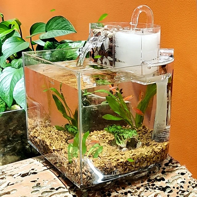 Portable Mini Acrylic Aquarium With Transparent Fish Aquarium