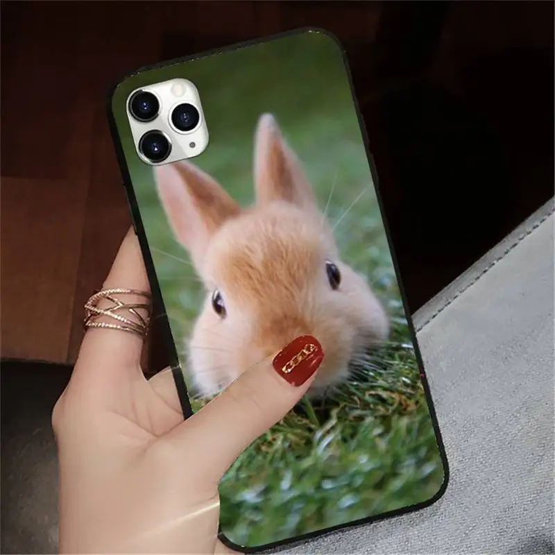 

Cute White Baby Rabbits Phone Case for iPhone 11 12 pro XS MAX 8 7 6 6S Plus X 5S SE 2020 XR