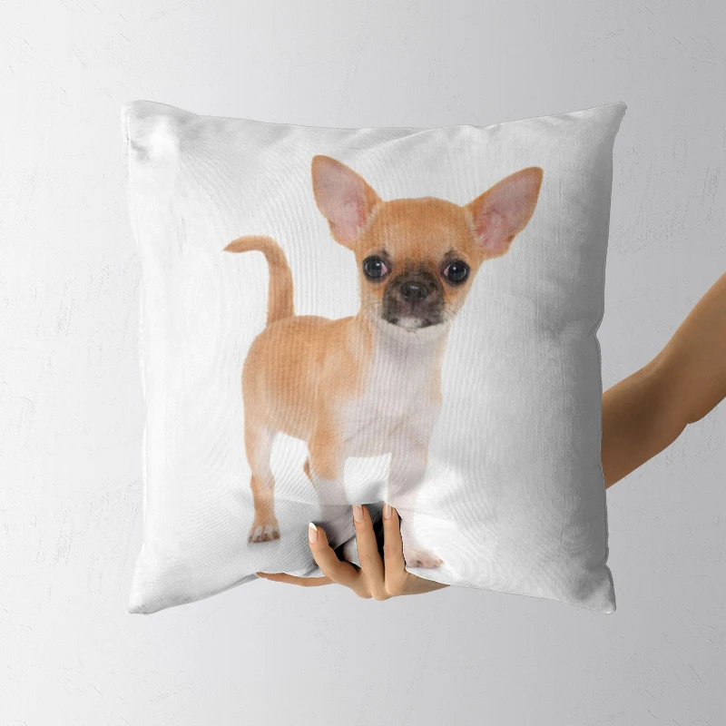 

Various sizes soft pillowcase simple style Sofa Bed Home Decorative Pillowcases