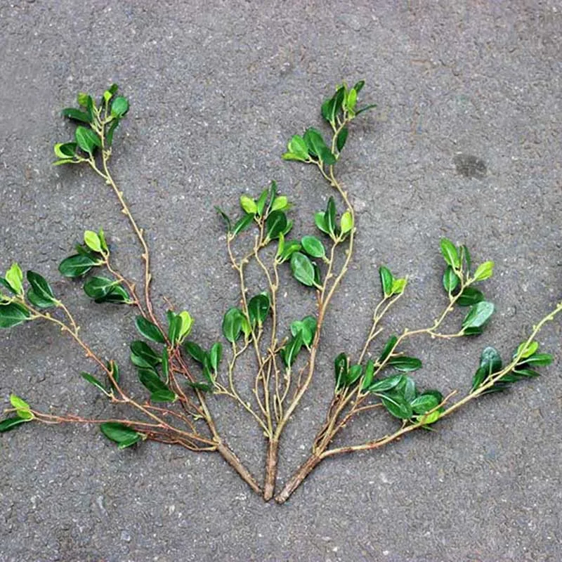 Украшения для сада с рисунком яблоня и листовые искусственные растения зеленой