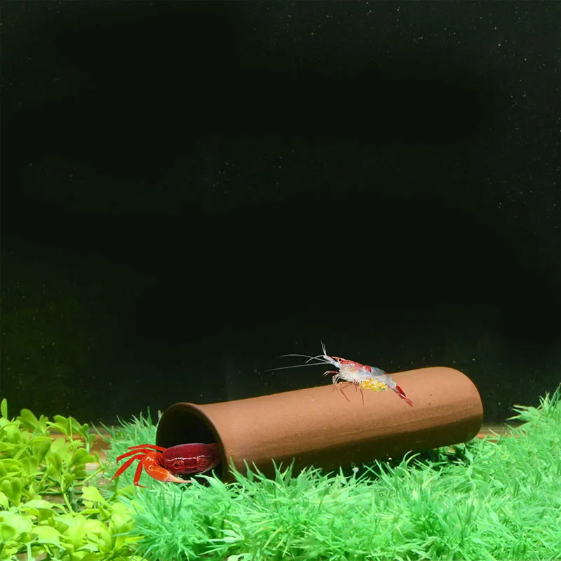 Украшение для аквариума Saim украшение в виде маленькой креветки и молодой рыбы