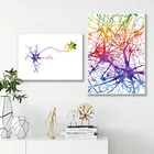 Мультиполярная анатомическая нейроновая клетка, настенная Печать на холсте, нейрология мозга, медицинские научные плакаты, анатомическая биология, домашний декор
