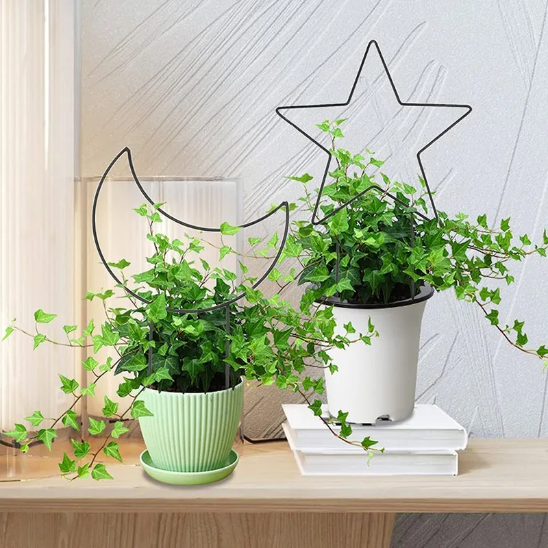 

Small Metal Trellis For Potted Plants Indoor Metal Plant Support Trellis For Climbing Plants Suitable For Vine Support Frame