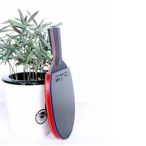 Ракетка для настольного тенниса Lemuria Hybrid Wood 9,8 Nano Tech Carbon, собранная с резиновым лезвием для быстрой атаки, пинг-понга
