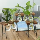 Ваза из стекла для гидропонных систем, креативная прозрачная ваза для растений, деревянный каркас, украшение для кофейни, стола, настольного украшения