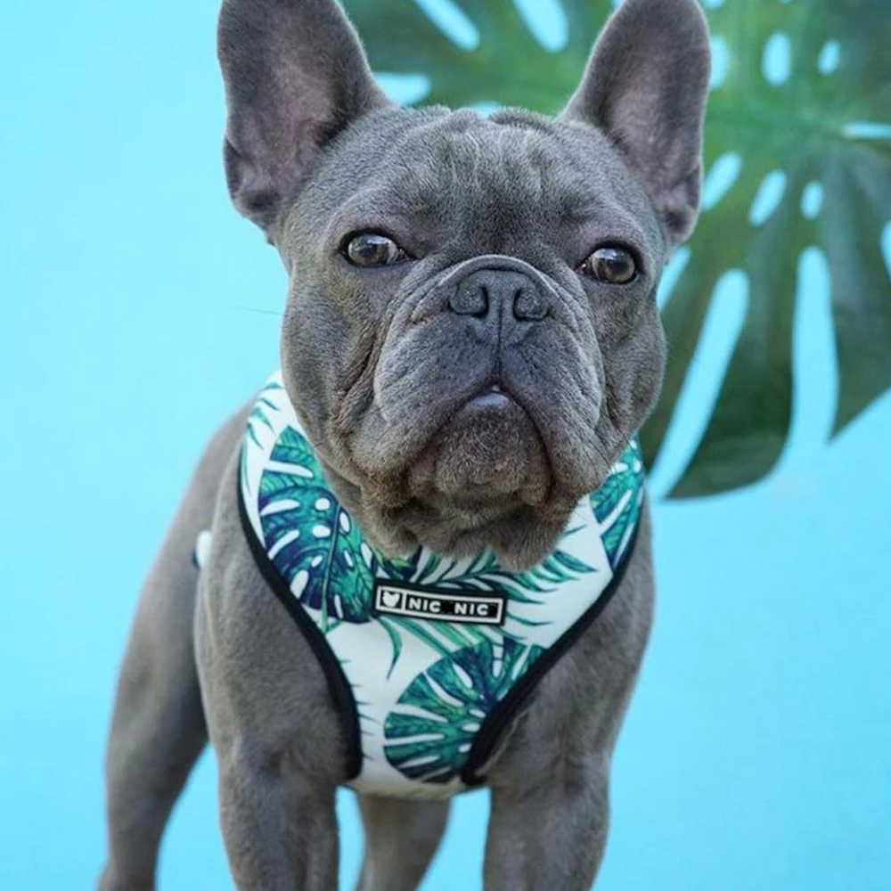 

Fashion Ins Dog Harness and Leash Set No Pull Breathable Pet Vest for French Bulldog Pit Bull Dog Supplies Puppy Accessories