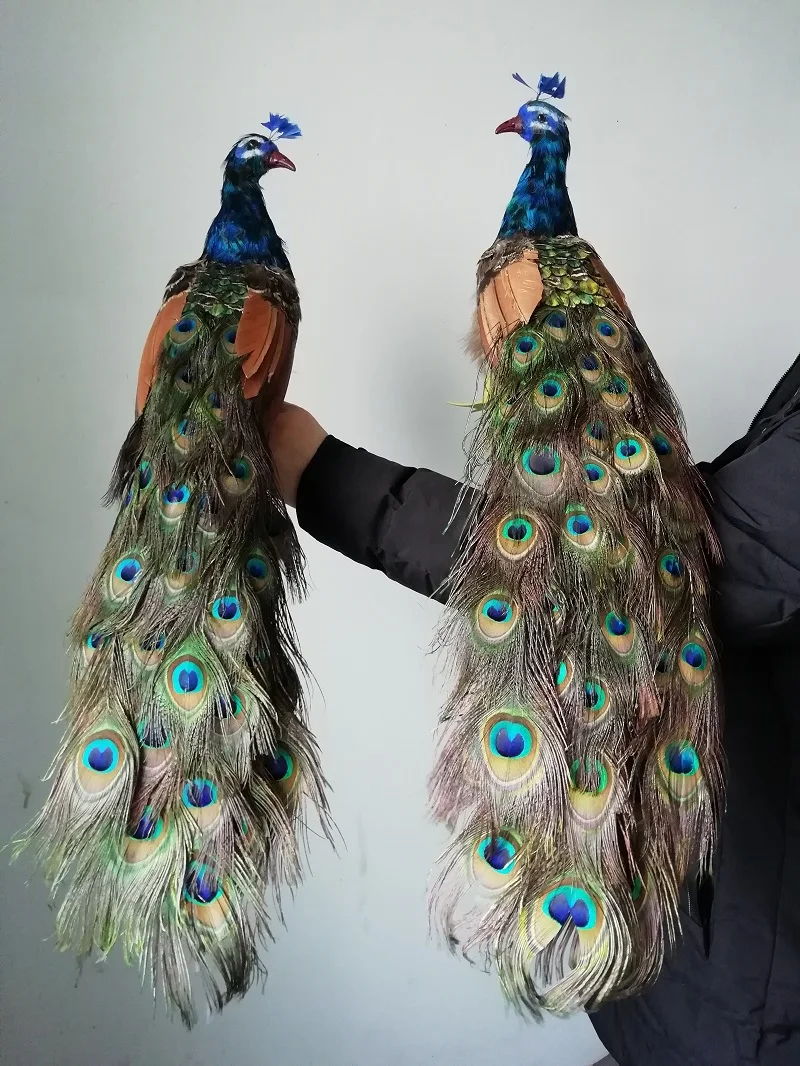 Пара новых моделей павлинов в реальной жизни куклы из пенопласта и настоящего