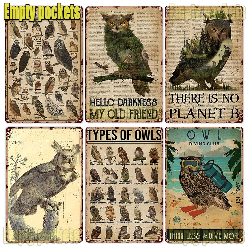 

Декор в виде совы для дома, типы знаний о совах, жестяной знак, украшение, винтажный шикарный металлический постер, Настенный декор, художест...