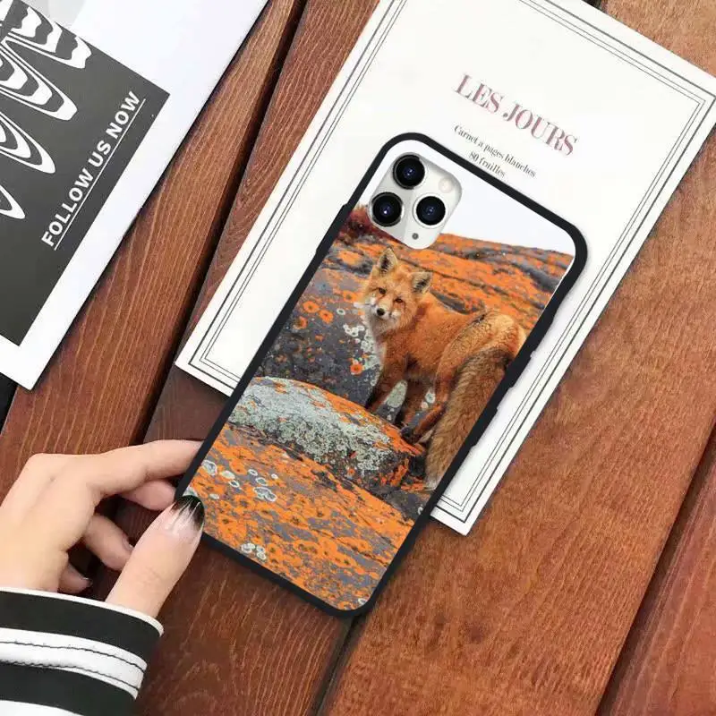 

Fox In Autumn cute animal Phone Case for iPhone 11 12 mini pro XS MAX 8 7 6 6S Plus X 5S SE 2020 XR luxury cover funda