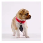 Портативный ультразвуковой отпугиватель насекомых, электронное средство от комаров, USB