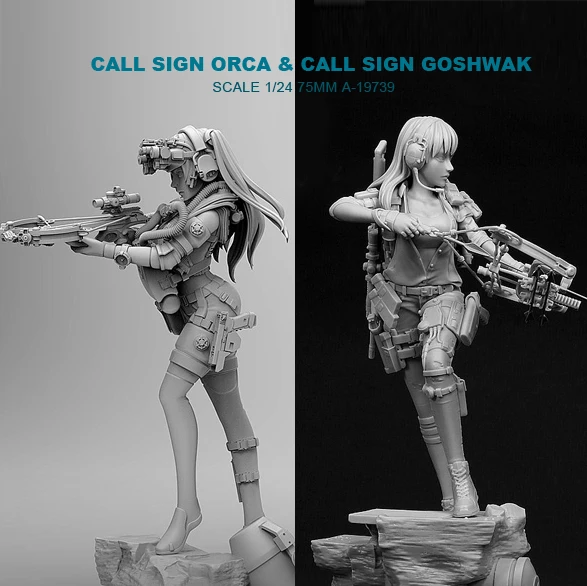 1/24 Resin Kits Killer Whale Beauty Shooter + Modern Female Archer Resin Soldier (2piece) (75mm) A-19739
1/24 Resin Kits Killer Whale Beauty Shooter + Modern Female Archer Resin Soldier (2piece) (75mm) A-19739