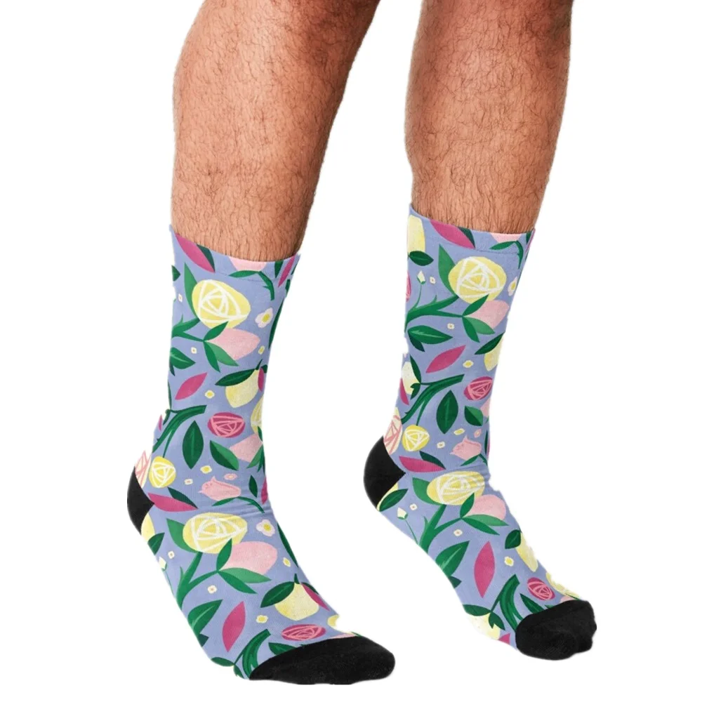 Носки мужские с принтом в стиле хип хоп смешные рисунком библиотеки котов