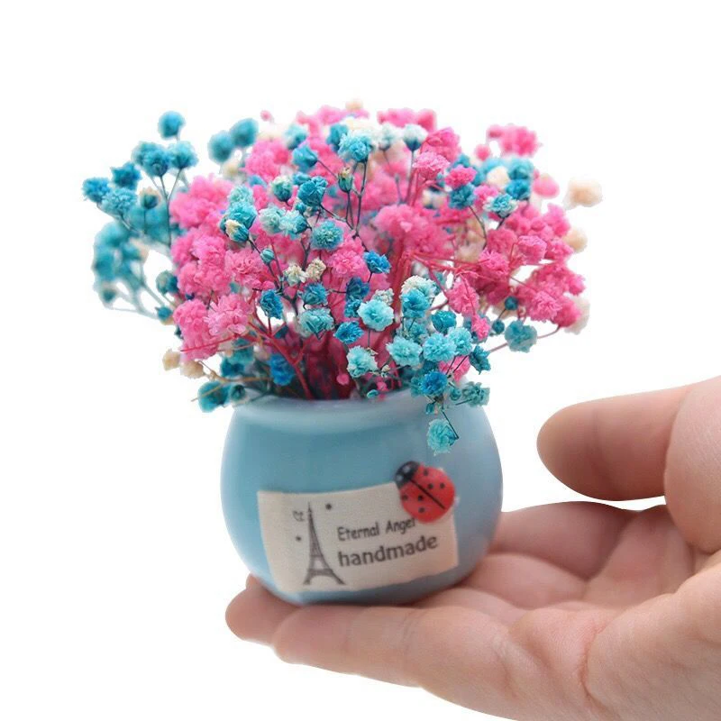 

Mini Immortal Flower Gypsophila Dried Flower Small Vase Home Desk Car Potted Decoration Birthday Gift Decorations for Home