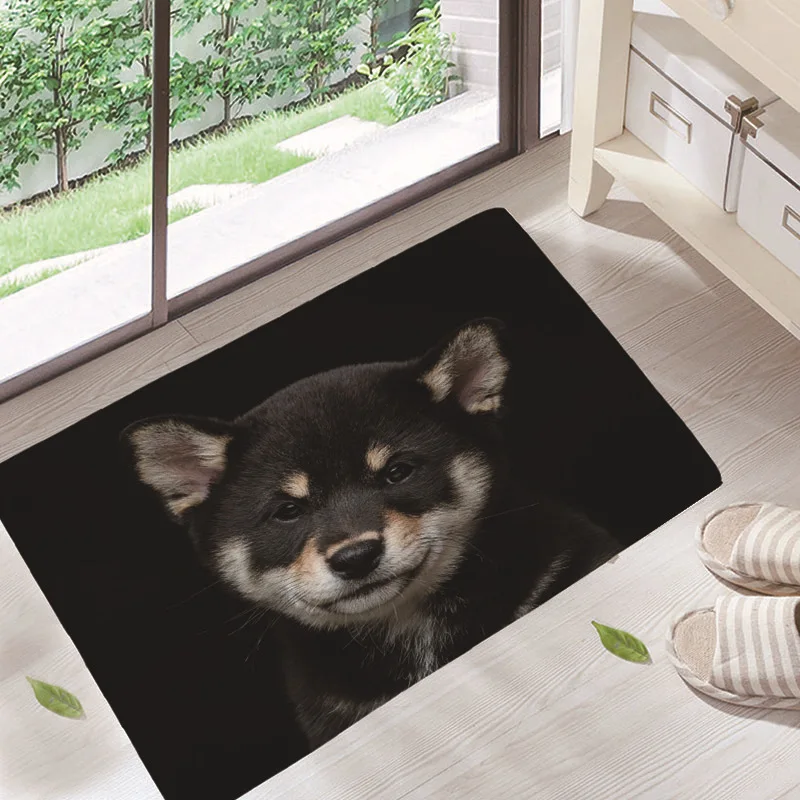 

Kawaii Pet Baby Floor Doormats Living Rooms Anti-slip Carpet for Home Balcony Bedroom Kitchen Bathroom Rug Entrance Door Mat