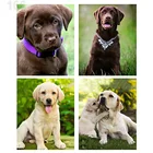 Алмазная картина 5d 