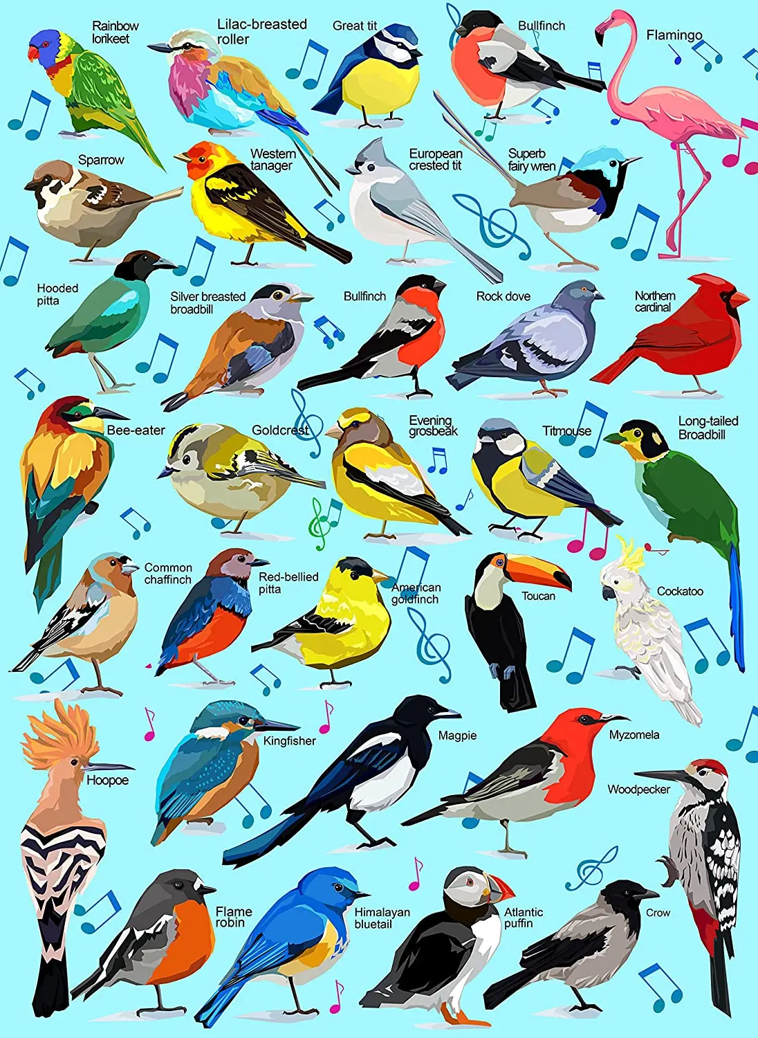 

Пазлы с птицами 500 штук: Птичий фонетический пазл для взрослых и детей, животные, природные головоломки, игрушки для детей