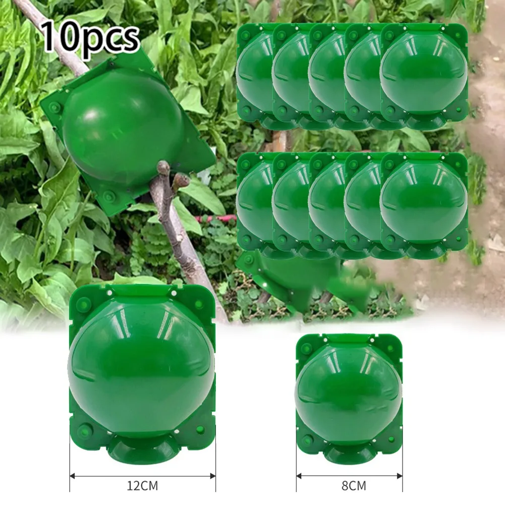 

10pcs Plant Rooting Grafting Box 5cm/8cm/12cm Plastic High Pressure Propagation Ball For Roses Climbers Trees Magnolia Camellia