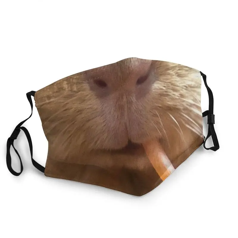 

Guinea Pig Nose Reusable Unisex Adult Animal Mouth Face Mask Anti Haze Dust Protection Cover Respirator Mouth-Muffle