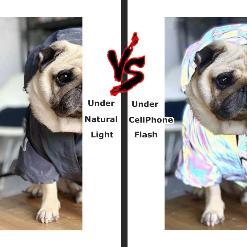 Светоотражающая уличная куртка с изображением французского бульдога ветровка