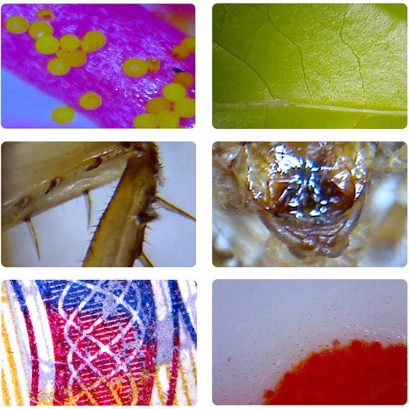 

Portable Illuminated USB Microscope 200X Wireless WIFI Digital Microscope w/ 8 LED Support IOS & Android Hair Detect Microscope