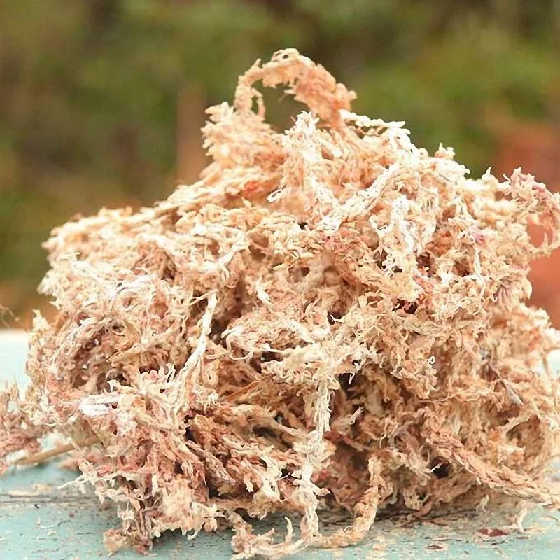 Увлажняющее питание Sphagnum Moss 12 л органическое удобрение защита сада Орхидея